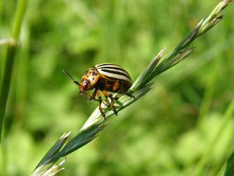 Similar image 111789