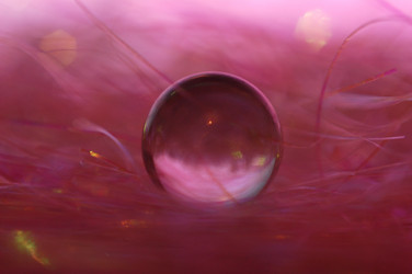 Similar image 111849