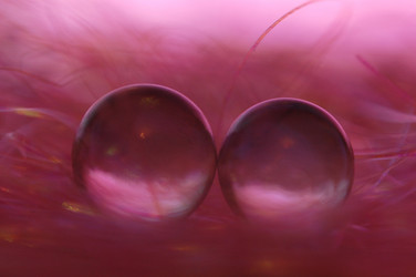 Similar image 111850