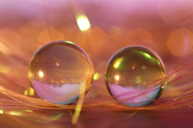 Similar image 111852