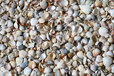 Similar image 111952