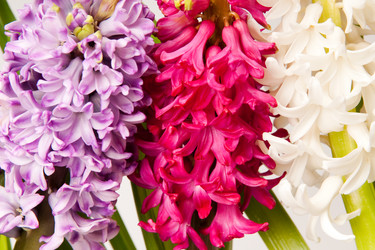 Similar image 111974