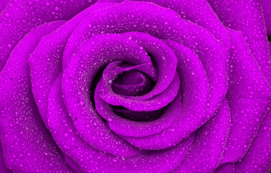 Similar image 112021