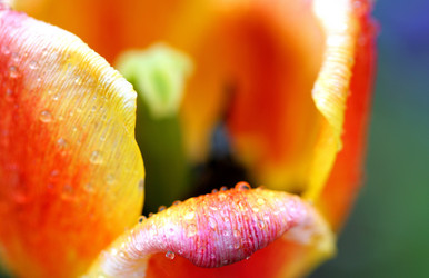 Similar image 112069