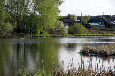 Similar image 112238