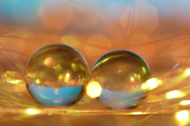 Similar image 112242