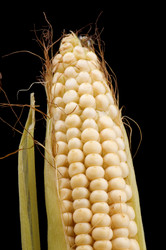 Similar image 112252