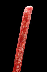 Similar image 112310