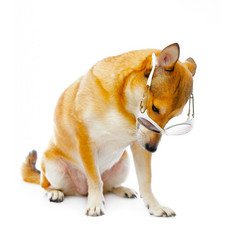 Similar image 112320