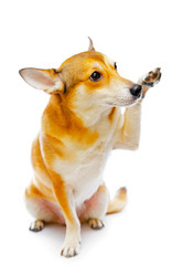 Similar image 112322