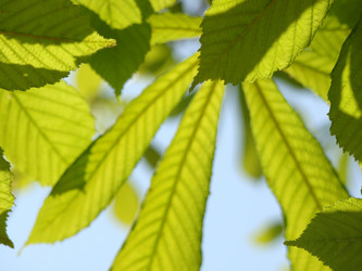 Similar image 112334