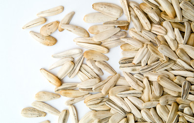 Similar image 112356