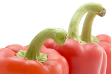 Similar image 112399