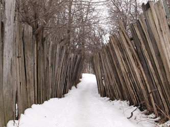 Similar image 112415