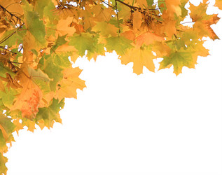 Similar image 112440