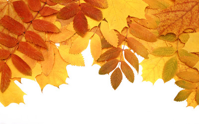 Similar image 112442