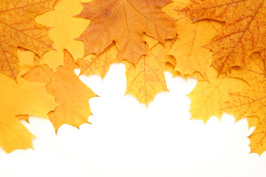 Similar image 112444