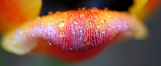 Similar image 112467