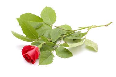 Similar image 112584