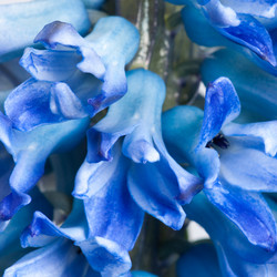 Similar image 112626