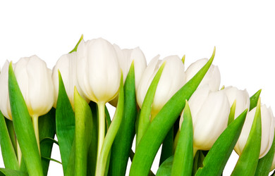 Similar image 112641