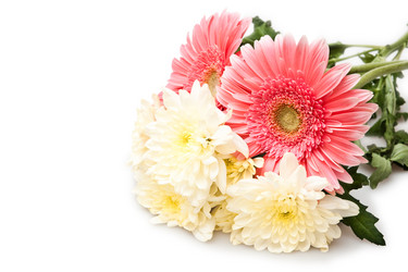 Similar image 112659