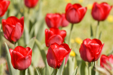 Similar image 112700