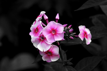 Similar image 112747