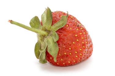 Similar image 112752