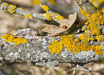 Similar image 112809