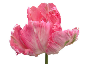 Similar image 112812