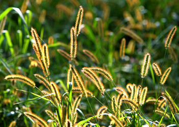 Similar image 112816