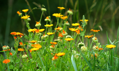 Similar image 112842