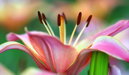 Similar image 112859