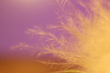 Similar image 112864