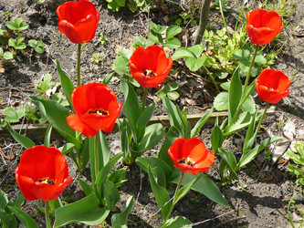 Similar image 112869