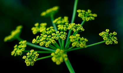 Similar image 112872