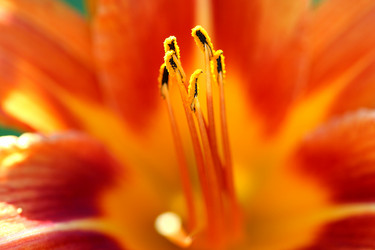 Similar image 112878