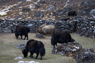 Similar image 112887