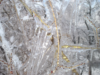 Similar image 112910