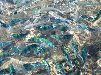 Similar image 112914