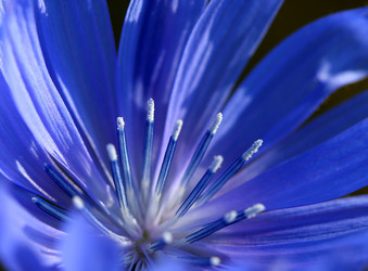 Similar image 112922