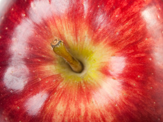 Similar image 112941