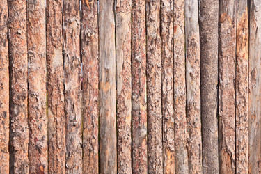 Similar image 112979