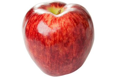 Similar image 113098