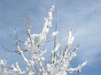 Similar image 113175