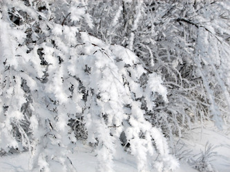 Similar image 113177