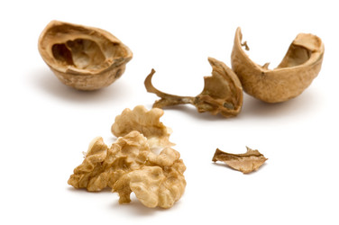 Similar image 113193