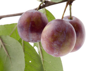 Similar image 113256