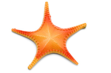 Similar image 113286